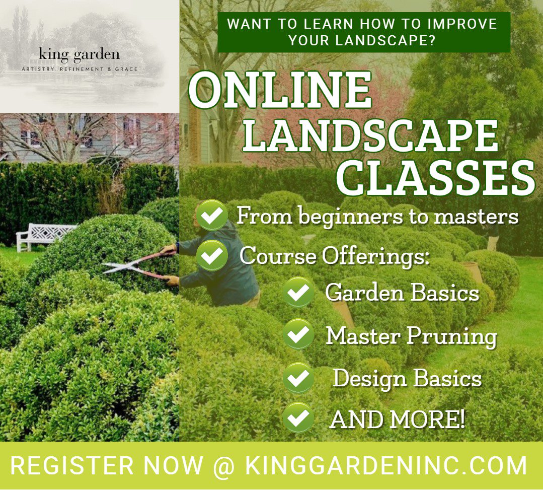in_landscape's tweet photo. Excited to be developing a range of online courses in the landscape sciences - from pruning to design, develop skills to tend to your landscape. Visit https://t.co/i7Ls7wrKda
@kinggardens #inthelandscape #onlinecourses #gardendesign https://t.co/zQKSkUpYcw