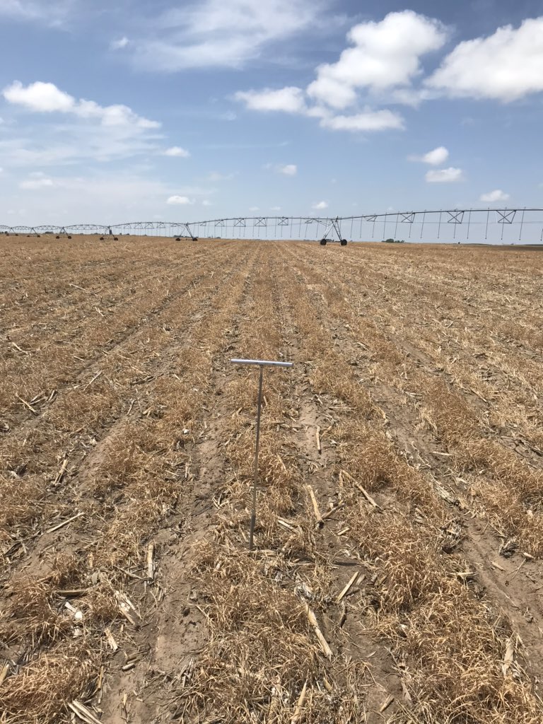 Bryan Boroughs tweet media