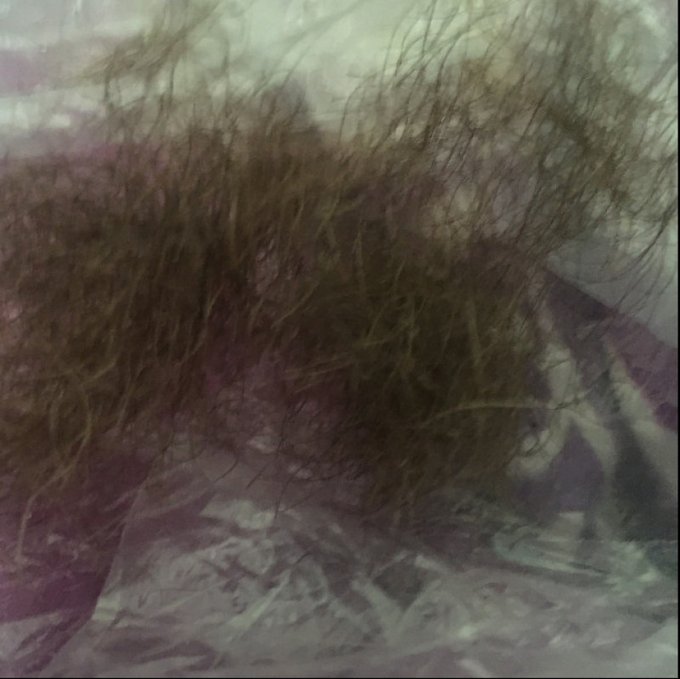 Pubic Hair by @Ganjagirl802xox https://t.co/SSufWUtWrp Find it on #ManyVids! https://t.co/ZXYRffBgnL<a class="tags" href="/tag/ganjagirl802xox">@ganjagirl802xox</a><a href="/tag/manyvids"class="tags"><span>#manyvids</span></a>