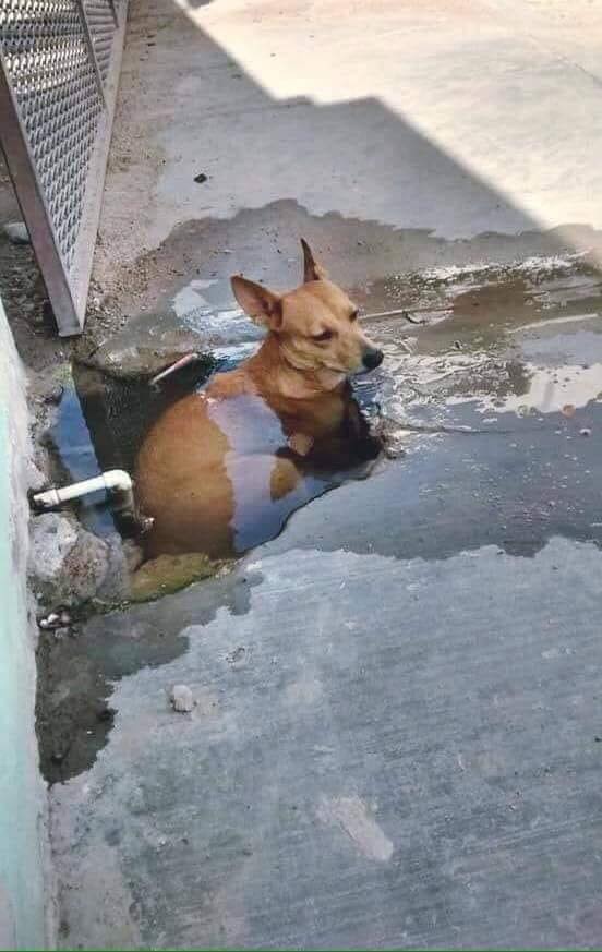 vittor's tweet photo. talvez eu tenha plantado o q eu tô colhendo msm https://t.co/nUizJzG3JO