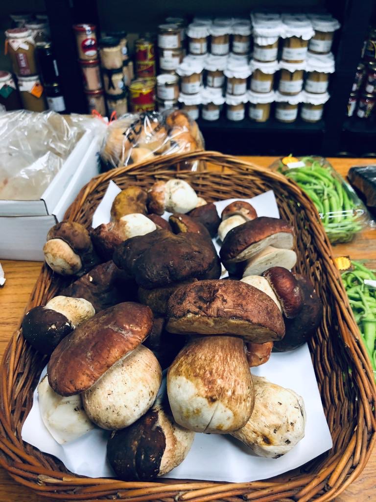 Victofer1922's tweet photo. Ahora mismo un #homenaje sabe mejor que nunca... Y más aún si se trata de un #manjar como este: ¡#hongo pinicola! El amigo de los pinos ya en #Victofer.

#comerciolocal #tiendasdetodalavida #productosdetemporada #delicatessen #gourmet #cocina #gastronomía #VitoriaGasteiz https://t.co/xZyKbsV5DF