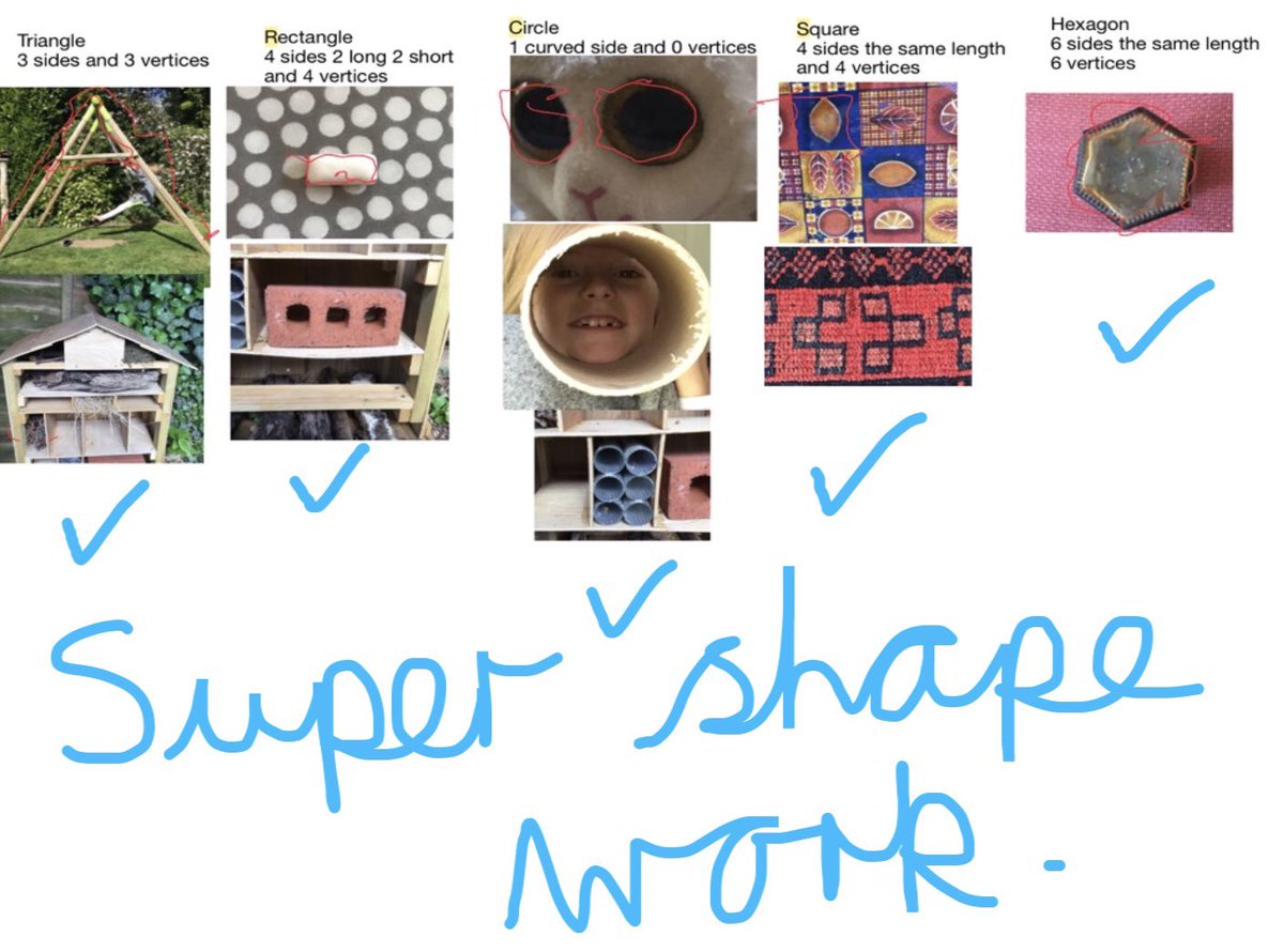 Mrs C Johanson 🍁 tweet media