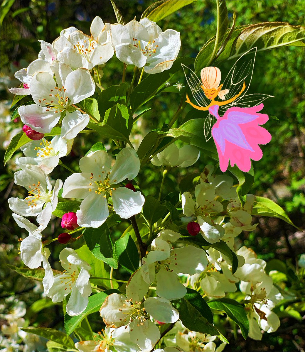 Today, while skipping 'round her crabapple tree. Piccadilly got a wee bit dizzy & plunked onto the grass. As friends often do, Rufus plunked next to her until she was ready to get back up.💗Magical spring blossoms to all! 🌺 Illus. by N. Hwang from #PiccadillyAndTheJollyRaindrops