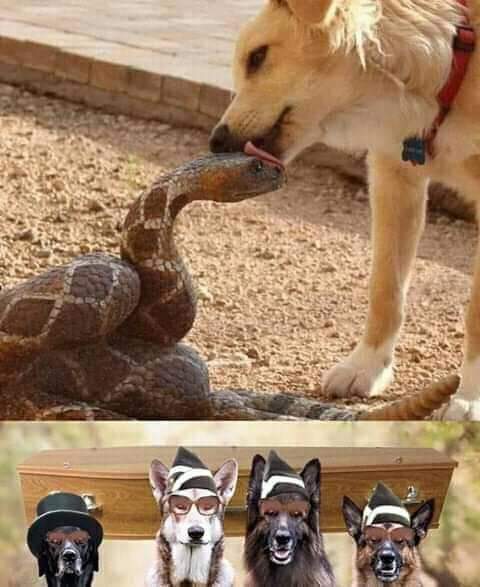 Hope you know the song🤣🤣🤣🤣