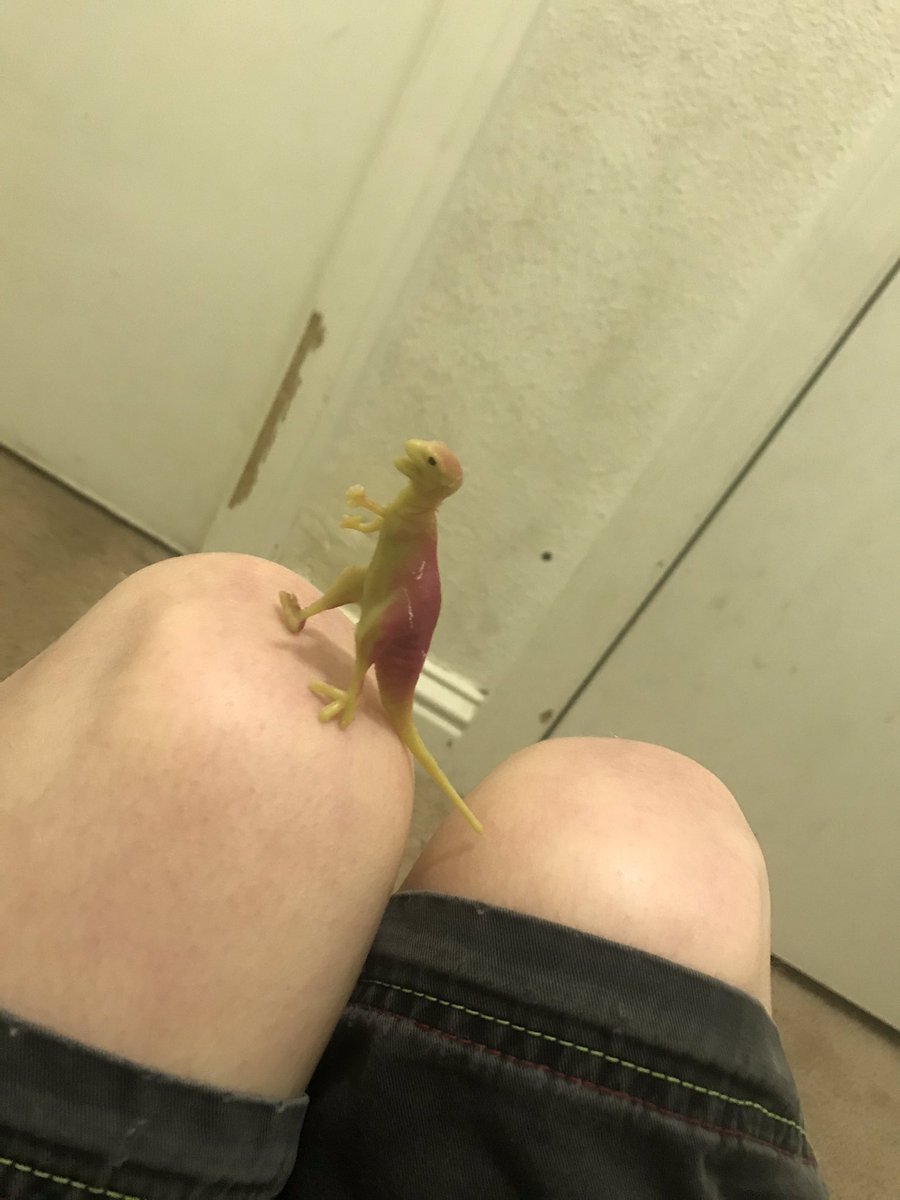 Crocker.,,,, what are u doing on my kneee