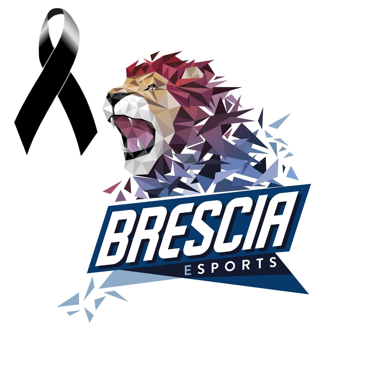 Brescia eSports tweet media