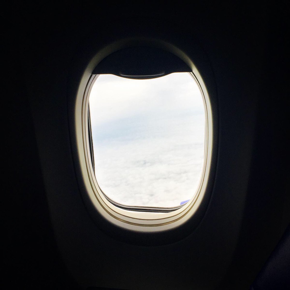 KPRC2Mario's tweet photo. THINKING ABOUT FLYING?
TONIGHT @ 10 CHANNEL 2 INVESTIGATES: At a time when airlines have cut rates drastically... We asked 3 airlines for interviews with their CEOs or Presidents — with a portion to be done in-flight. What do you think happened? The answer on @KPRC2 @ 10. https://t.co/vggjrMypxd