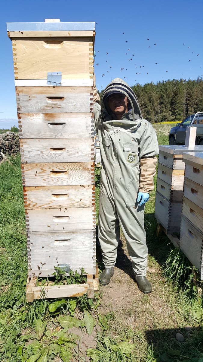 First season beekeeping with <a href="/Jim_Lowther/">Jim Lowther</a>. Think I may have to get some stilts soon.