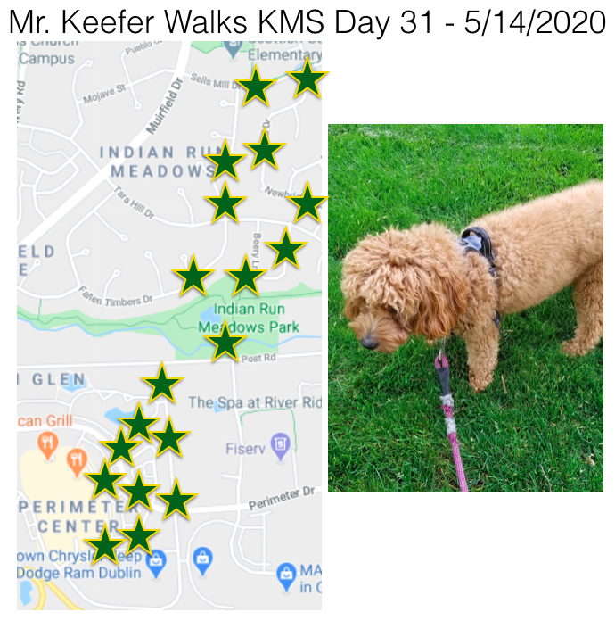 KMSRoom229's tweet photo. Juno and I did it!!! Day 31 of #KMSWander completed our journey of walking all of @KarrerMS attendance area. Crazy! Maybe we will start over tomorrow. 🤣 https://t.co/lSPXL6Nrw2