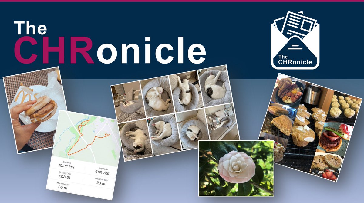 CambridgeHCR's tweet photo. Another great #CHRonicle Newsletter this month for #TeamCHR! We are continuing to work remotely due to #COVID19 but we are staying #positive within the business and in our own homes with the #Survivinglockdown pictures! #VirtualWorking #StayAlertSaveLives #LifeAtCHR #Hobbies https://t.co/8oXdC6R1UP