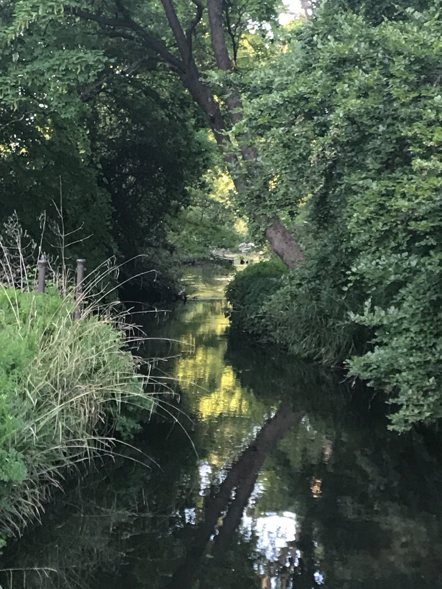 RifflePool's tweet image. The lovely River Wandle, Morden, SW London.  A gem of a stream returning to nature after escaping its industrial ghost.