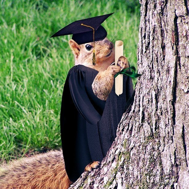 wmtribecard's tweet photo. Congratulations Graduates!! The W&amp;M celebrates you! Did you know W&amp;M Express balances over $10.01 may be eligible for a refund. Visit https://t.co/qEVIiSzu0X for details. Still in town? These local merchants are accepting express https://t.co/mxDZJKSTHh https://t.co/RIWHJls3p8
