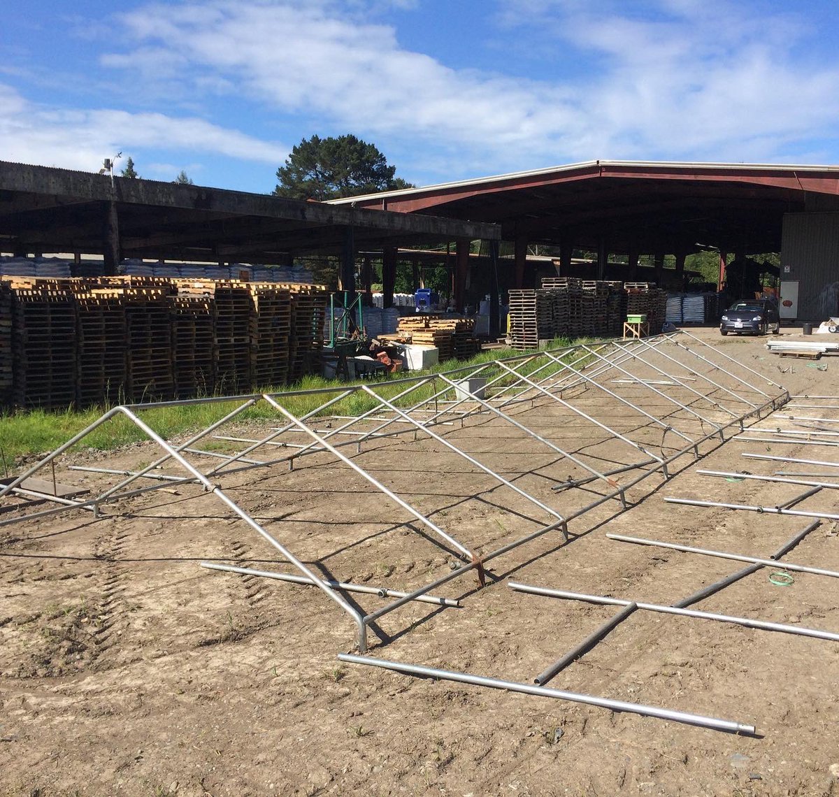 RoyalGoldSoil's tweet photo. Our native plant nursery has come along way in the last couple years
#throwback #beforeandafter #royalgrown https://t.co/nwtOAUZIDW