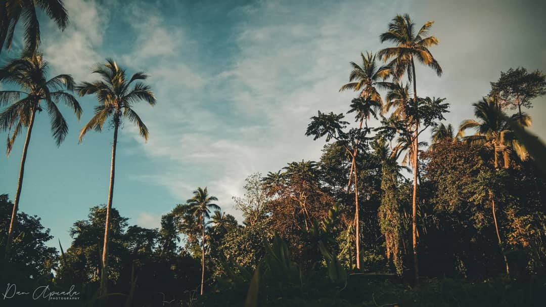 bababasti_a's tweet photo. #lightroomph #lightroompresets #lightroommobile #lightroomcc #lightroomedits #lightroomclassroomph #lightroomphotography
#lightroomtutorials #lightroomeffect #adobelightroomcc #lightroomcc2019 #lightroomworkshop #lightroomworld #lightroomphilippines #adobelightroom https://t.co/NJHsNI3neh