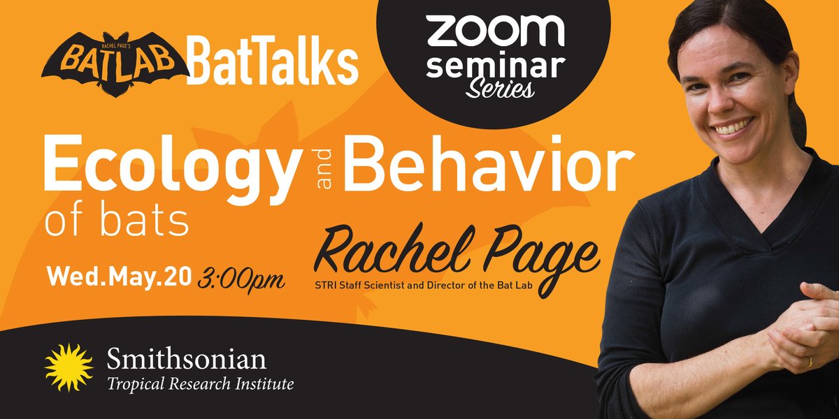 stri_panama's tweet photo. BatTalks: Ecology and Behavior of Bats. Join our first webinar about bats and learn more about these important animals with Smithsonian scientist Rachel Page https://t.co/kKk4EAxsRo #Bats #Ecology #Behavior #Webinar https://t.co/sIFXUM7SSX