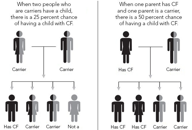 CF_Foundation's tweet photo. For someone to have #cysticfibrosis, you must inherit two copies of the CFTR gene that contain mutations--one copy from each parent. That means that each parent must either have CF or be a carrier of a CFTR gene mutation. #CFawareness https://t.co/kaOXdawNO9