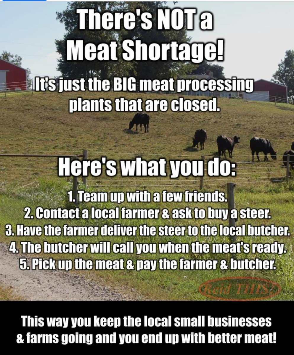 jp_livestock's tweet photo. Find a processor and share this @coleman_peanut here's your sign https://t.co/FI6RNHoYit