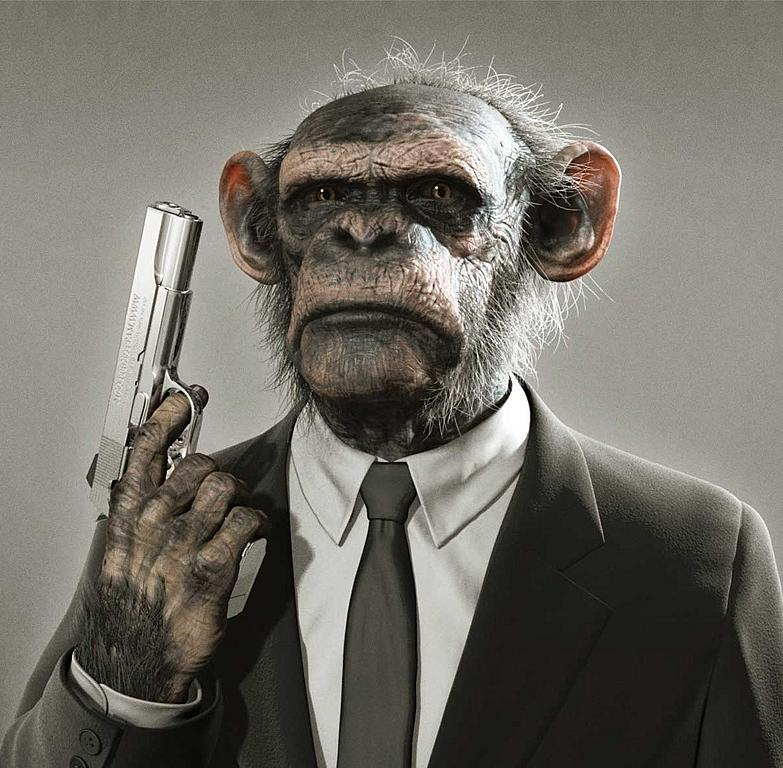 MonkeyForSmash's tweet photo. @Kay4Smash it was monkey who shot last https://t.co/0KWTWrQNM7