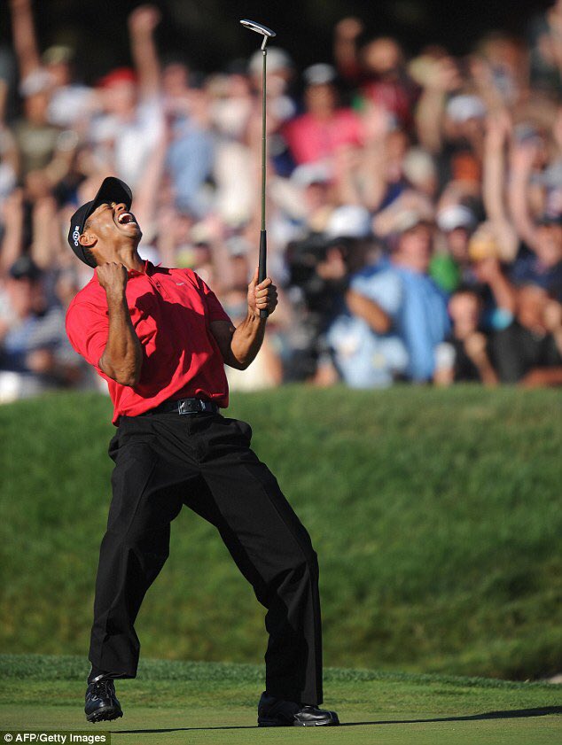 I’ve found you can never go wrong with a Tiger Woods-esque reaction