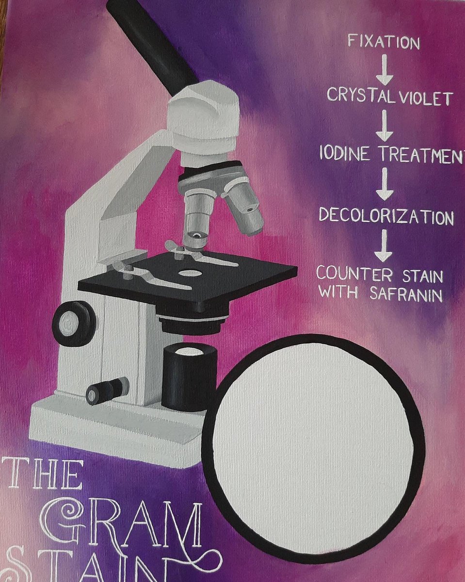 SMArtuWindsor's tweet photo. “The Gram Stain” by Charlotte Hayes. What a great way to illustrate #gramstaining! https://t.co/FZUAiEjcFC