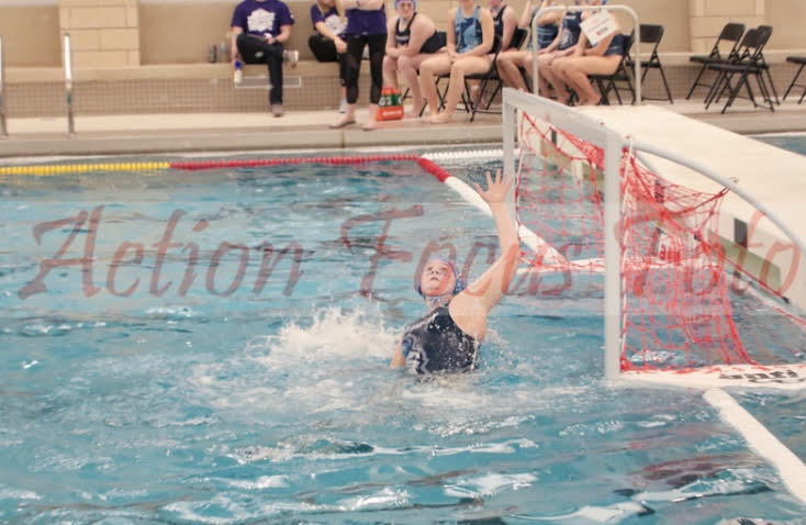 ProspectPolo's tweet photo. Maggie's advice to the income freshman: 

"If I could talk to an incoming freshman, I would tell them to enjoy every moment and not to stress over the little mistakes. There’s always room for improvement but your memories on polo will last forever."

Congratulations Maggie! https://t.co/5eZ5c36hXr