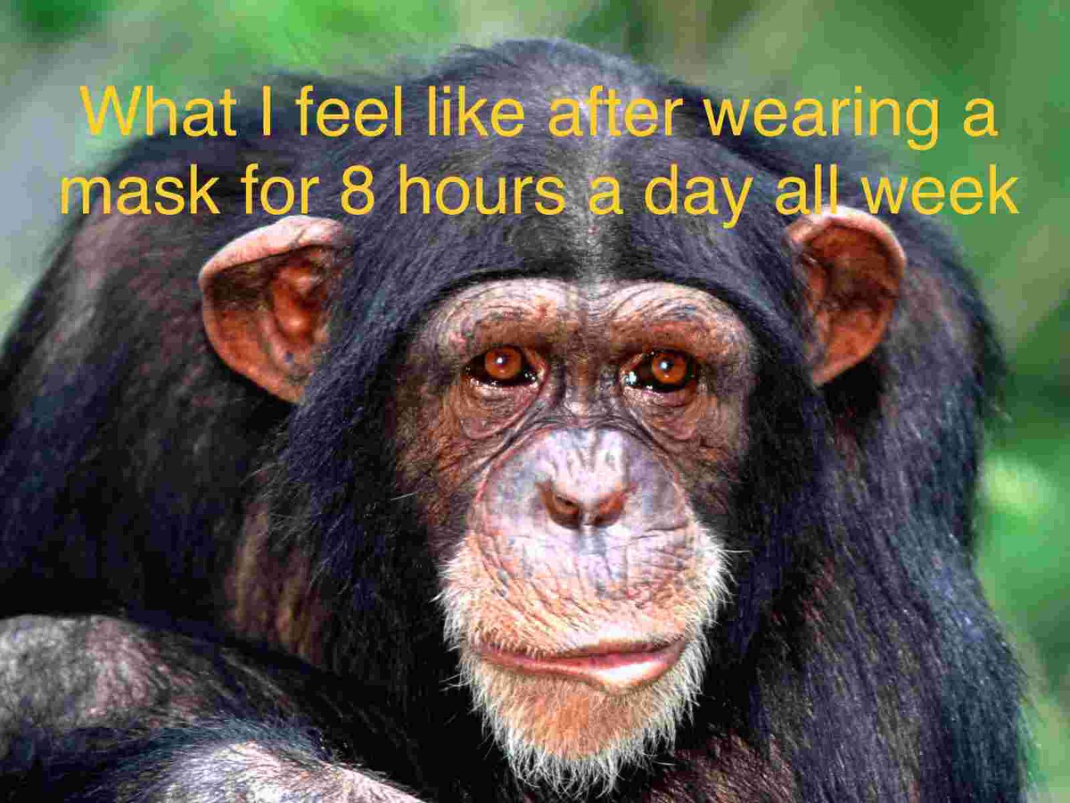 HHCPR2020's tweet photo. #facemasks #coronavirus https://t.co/QOH1P35H2y