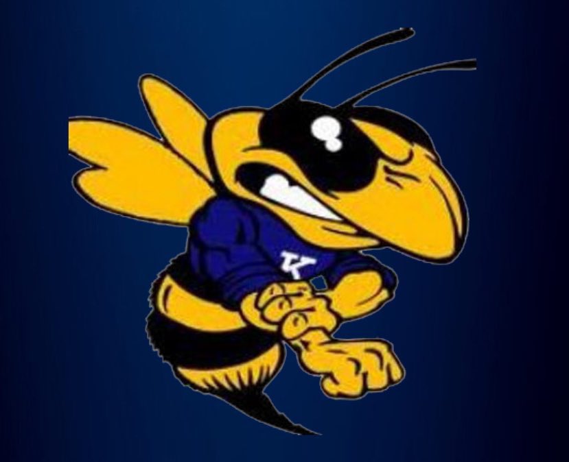 hornetstatcrew's tweet photo. Big Brother vs. Little Brother! Go vote!#HornetPride 🐝 https://t.co/uEOWTMVjQz
