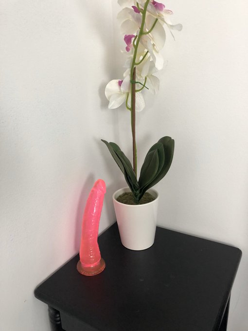 On my nightstand   #briannabane  #nightstand #phworthy https://t.co/2T4MmAyBFc<a href="/tag/briannabane"class="tags">#briannabane</a><a href="/tag/nightstand"class="tags">#nightstand</a><a href="/tag/phworthy"class="tags">#phworthy</a>