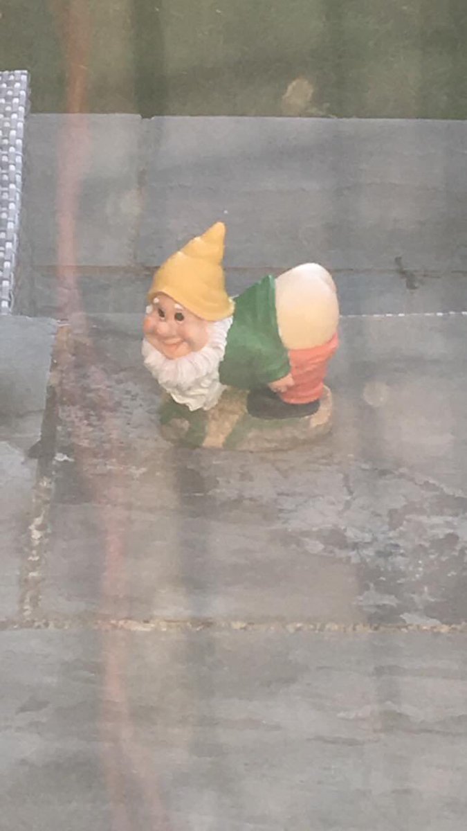 Just a little picture of what I see when I look at my back garden to hopefully brighten everyone’s day up a little bit! 😆 #lols #gnomes #bum #cheeks #cheeky #funny