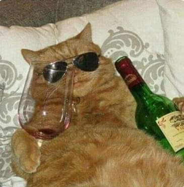 GracianovAlex's tweet photo. I want that mood back https://t.co/C3h2jcheDN