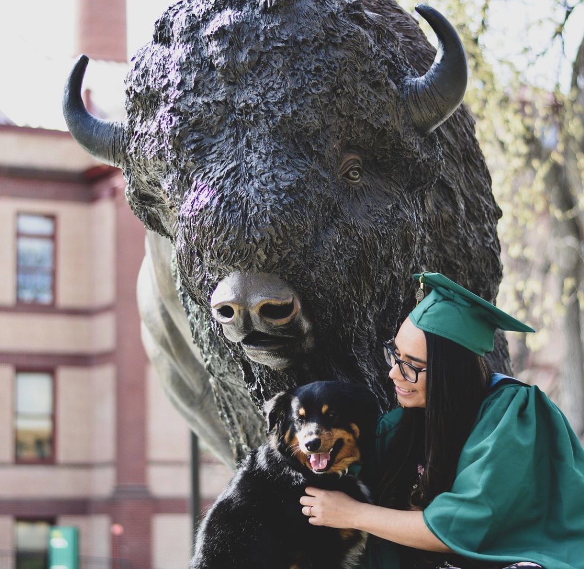 NDSU's tweet photo. Congratulations, NDSU graduates! Share your favorite bison statue photos.

Tag us using #NDSU2020Grad so we can re-post and celebrate together! We are so proud of you. 🎓

#ExperienceNDSU
https://t.co/HalzE6jPFl https://t.co/DT3vWjRBjJ