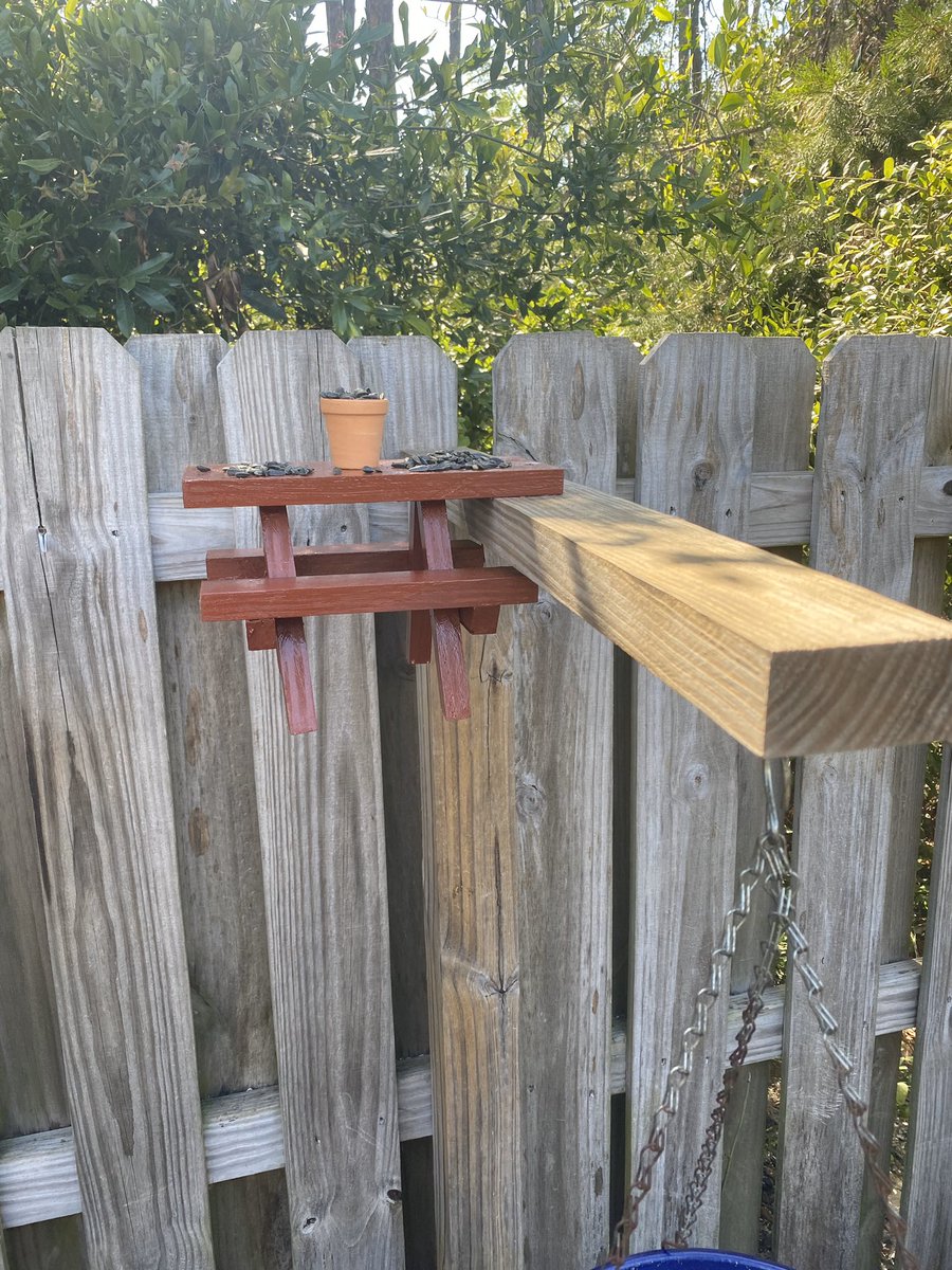 agodzwa's tweet photo. Brought the tweet to life for the perfect Mother’s Day gift for @la_loquita  

Stay tuned to watch a squirrel enjoy this adorable picnic table 🐿

#diy https://t.co/FNmjLUffP8