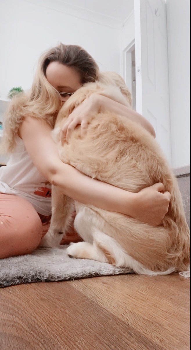 Mollygoldenret1's tweet photo. Mummy cuddles 💓 #mum #StayHome #cuddlesformum #dogomum #ThrowbackThursday #followme #goldenfurbaby #lovemymum #happygolden #staysafeeveryone https://t.co/32jsdRxm9D
