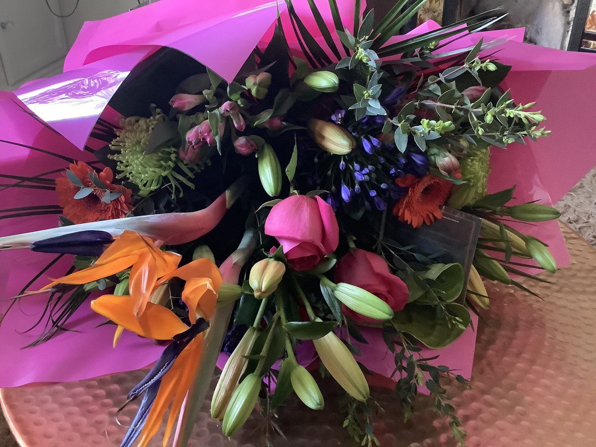 TREE CONTROL tweet media