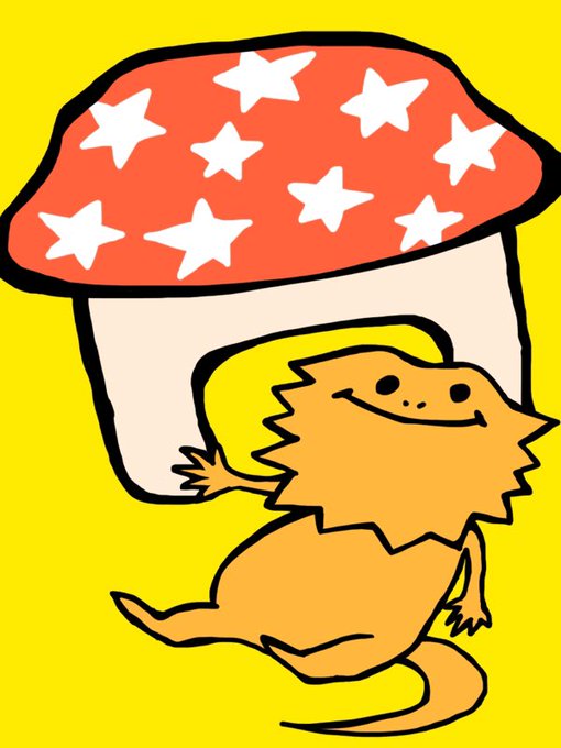 フトアゴヒゲトカゲのいる生活のtwitterイラスト検索結果 フトアゴヒゲトカゲのいる生活のtwitterイラスト検索結果