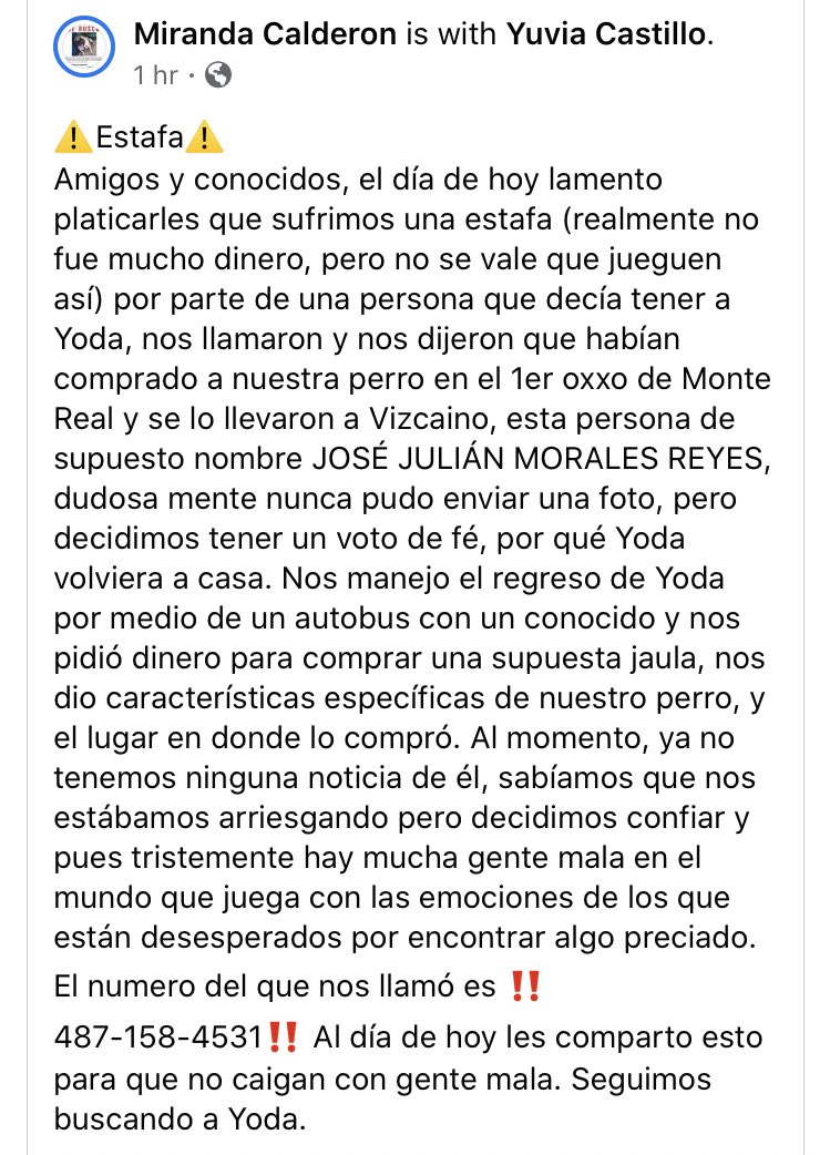 MascotasSismo's tweet photo. Si pierdes a tu mascota, mucho cuidado con las estafas. Es común que alguien te contacte y te diga que se lo llevó a otra ciudad y necesita $ para regresártelo. En este caso, esta persona (José Julián Morales Reyes) ya ha estafado así a varias personas. https://t.co/alXcHxT8O9