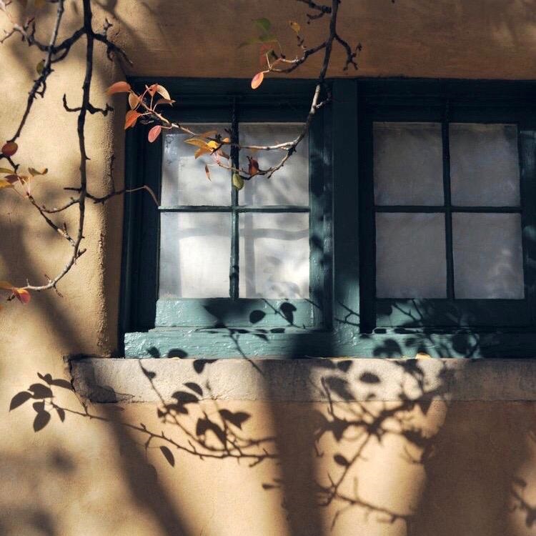 مما ورد عن تقديس العرب للحب.. 

قيل لأعرابي: 

"ما بلغَ حبُّك لفلانة؟" 

فقال: 

"واللهِ إني أرى نورَ الشمسِ على حائطِها أجملَ منهُ على حائطِ جيرانِها"❤️