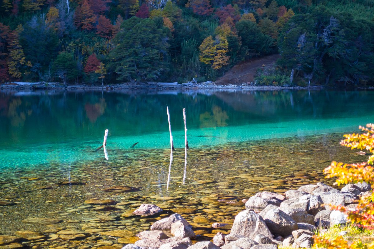 🍁Los bellos regalos de la naturaleza: los colores del #otoño.
¿Cómo se llama este lago? 👆
.
.
.
.
#sanmartindelosandes #lago #otoño #paisajesargentinos #patagoniaargentina #patagonia #belleza #naturaleza #fotografiadepaisaje