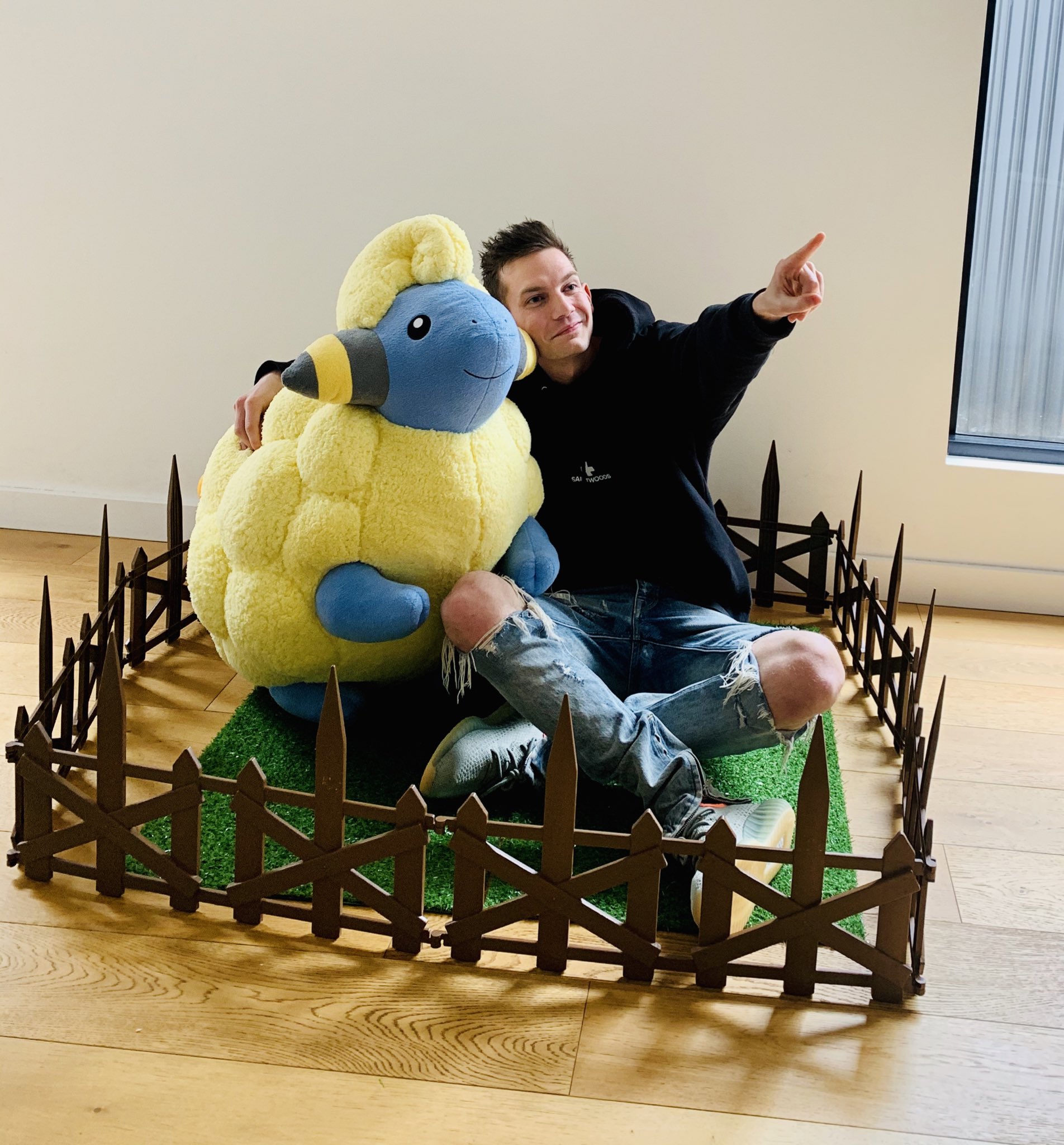 Ando در توییتر Life Size Mareep And I Enjoying A Quarantine Sunset