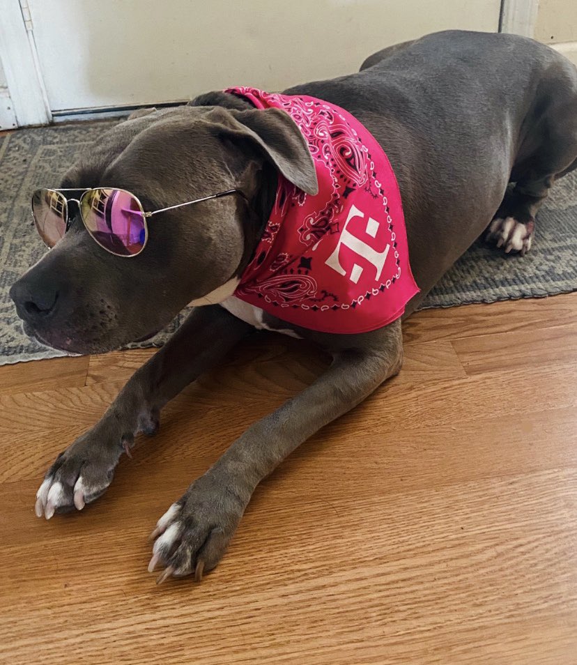 I think she’s hinting at me to take her for a walk.