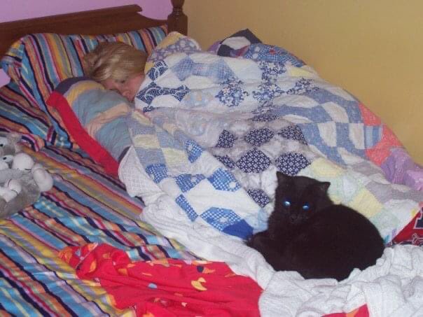 julianne_86's tweet photo. Goodbye, Mr. Kitty. You are the greatest cat to ever live. No cat will ever top you. You lived a wonderful 19 years 💔😭 https://t.co/S9FtEkIDWB