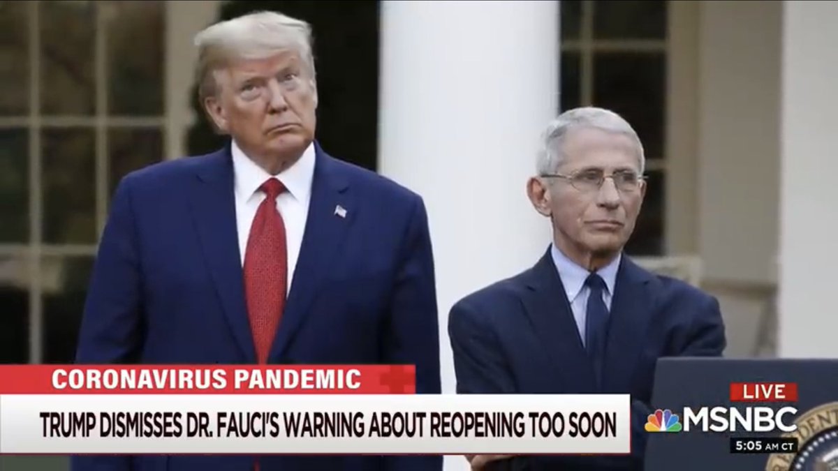 Noel McMahon (@noelmcmahon) on Twitter photo One of these people is a medical expert. The other is an egotistical moron <a href="/mirandadevine/">Miranda Devine</a> <a href="/realDonaldTrump/">Donald J. Trump</a> One of these people is a medical expert. The other is an egotistical moron <a href="/mirandadevine/">Miranda Devine</a> <a href="/realDonaldTrump/">Donald J. Trump</a>