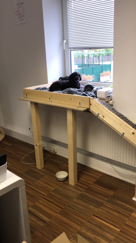 Wild_Urb's tweet photo. Hab ich schon gesagt, dass ich ein neues Urb Büro gefunden hab? Heute die Madame Emily noch am wilden Hochstand, aber schon bald... #geilgeilgeil https://t.co/84qLCfU8tv