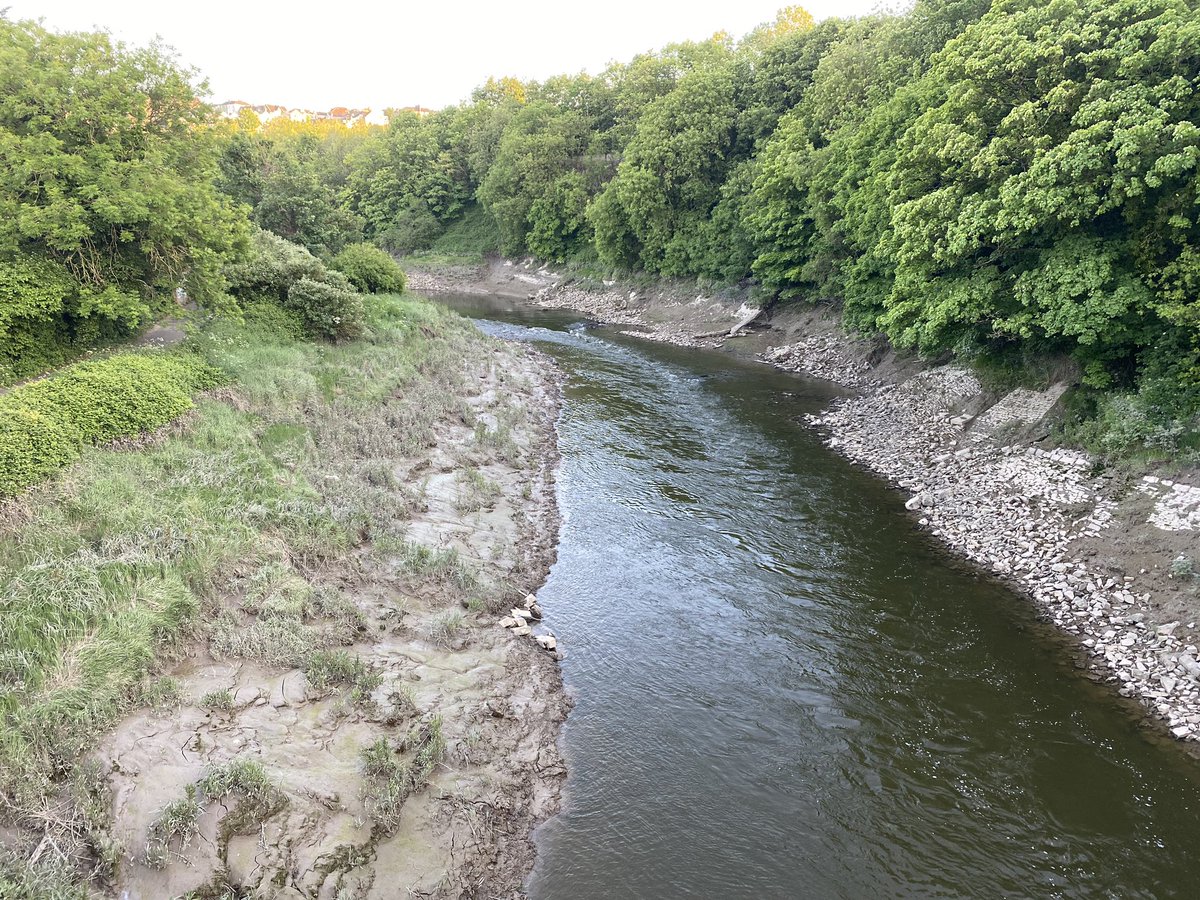 Benware69512337's tweet photo. Bike ride #riveravon #southwest https://t.co/GR0vOk5ISq