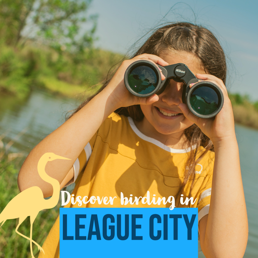 VisitLeagueCity's tweet photo. 🐦 A variety of species of birds are in spring migration, so it is the perfect time for birding. Plus, it’s a great way to social distance while getting outside to enjoy nature. 🦋 https://t.co/VRlEzCN5Zu https://t.co/8vKfN36xPR