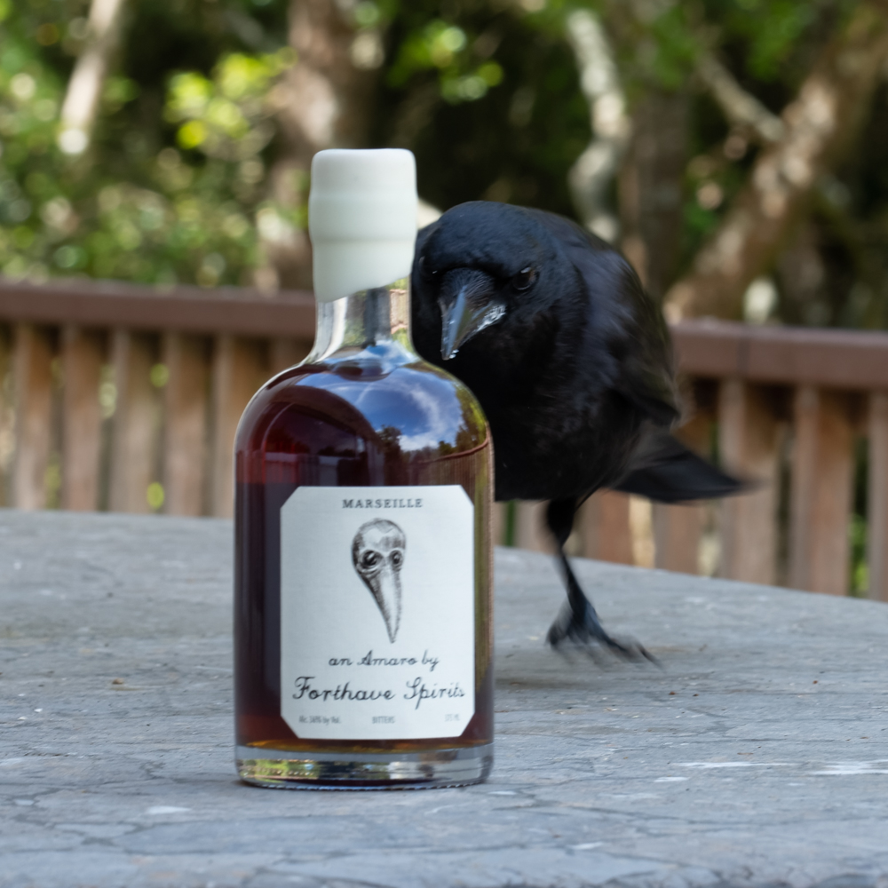 A gift of Amaro fitting for the times arrived today. C Plus approves.