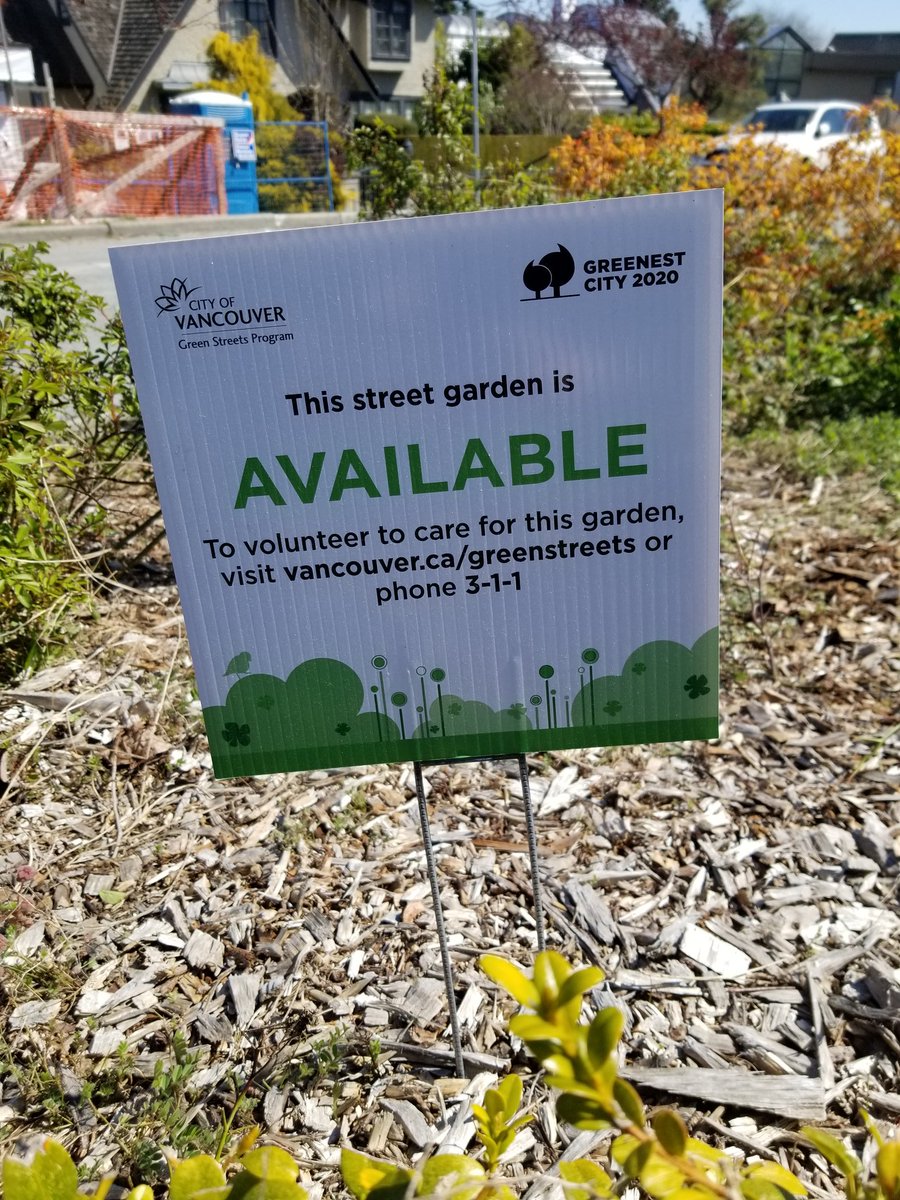 EmmaHarrower's tweet photo. I removed invasive Himalayan Blackberries in a #Vancouver Green Streets garden plot. I am now sponsoring the plot and hope to fill it up with wildflowers. https://t.co/efBwlYssJz