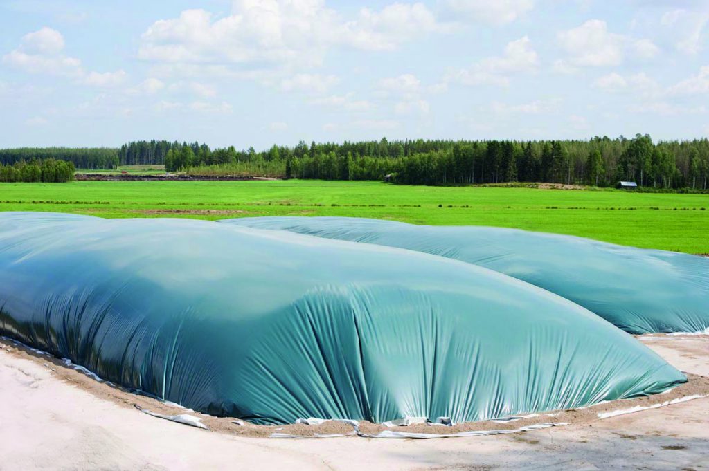 ThunderstruckAg's tweet photo. The Agrirepel® Silo has set a new industry standard for the quality and performance of silage film. With this new film, your forage is wrapped in the highest quality material available.
AND it's protected from birds and rodents.😏
#NoBirdNoRodent #SilageProtection https://t.co/KUFavBfiAh