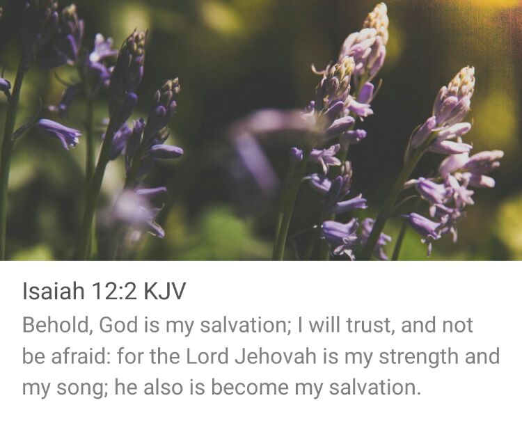 NatalieDMonk's tweet photo. #inspiringquotes #bibleverseoftheday #kjb #faith #faithquotes #faithblogger #faithinspired https://t.co/xDobnTEW6s