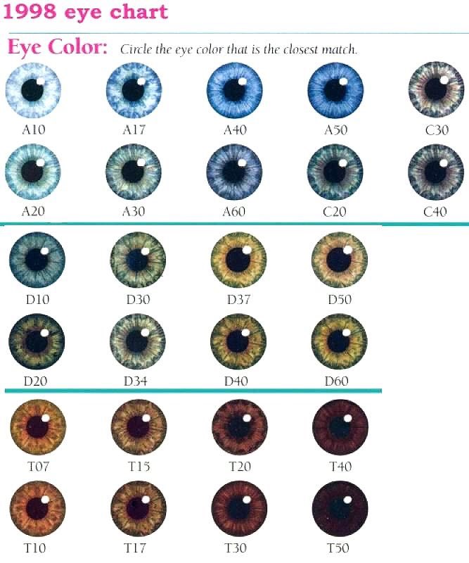 Eye Color Chart